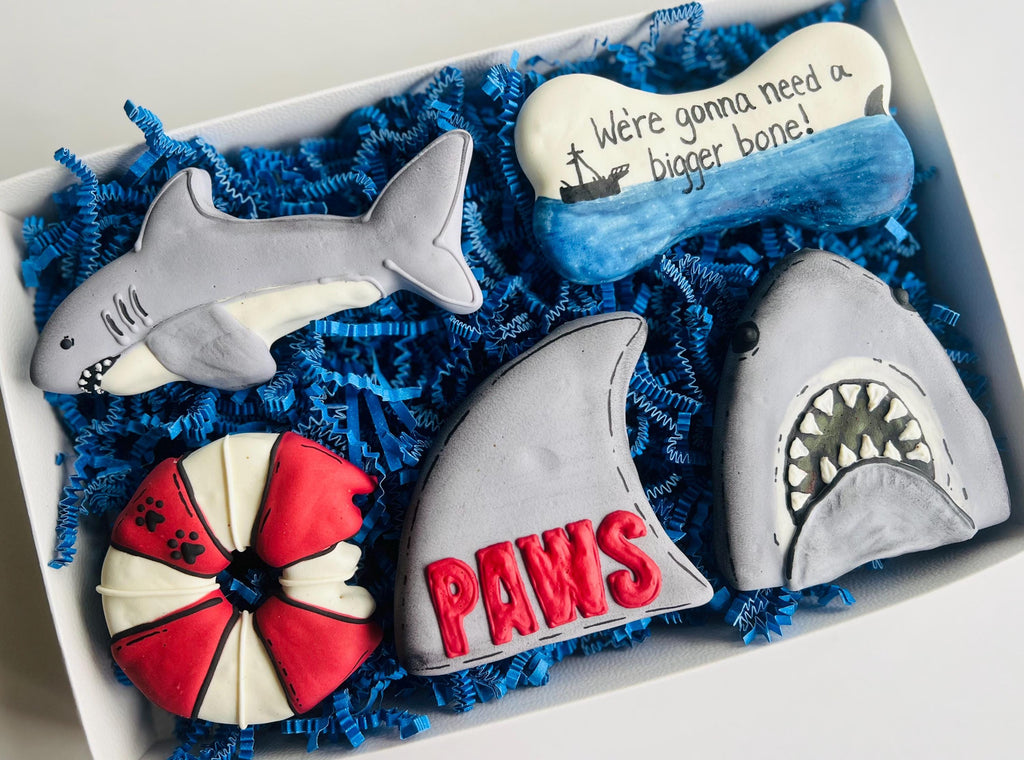 PAWS Shark Dog Treat Box | Shark Iced Dog Treats