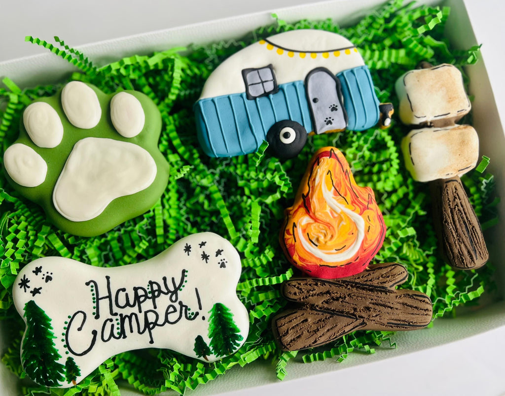 Happy Camper Dog Treat Box | Camping Iced Dog Treats