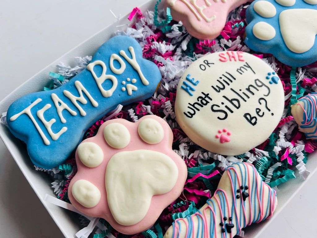 Gender Reveal Gourmet Dog Treats