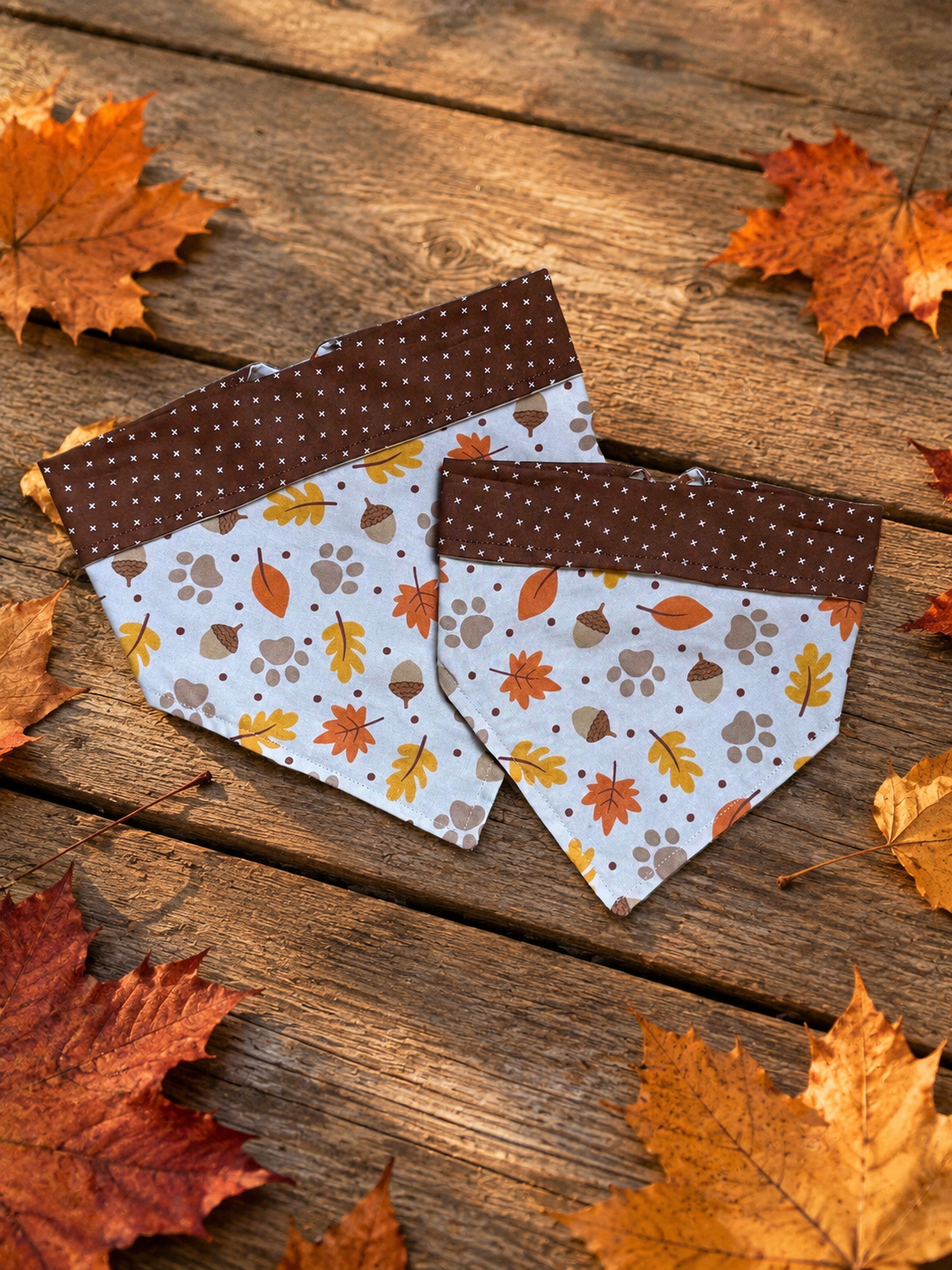 Paw Harvest Reversible Bandana