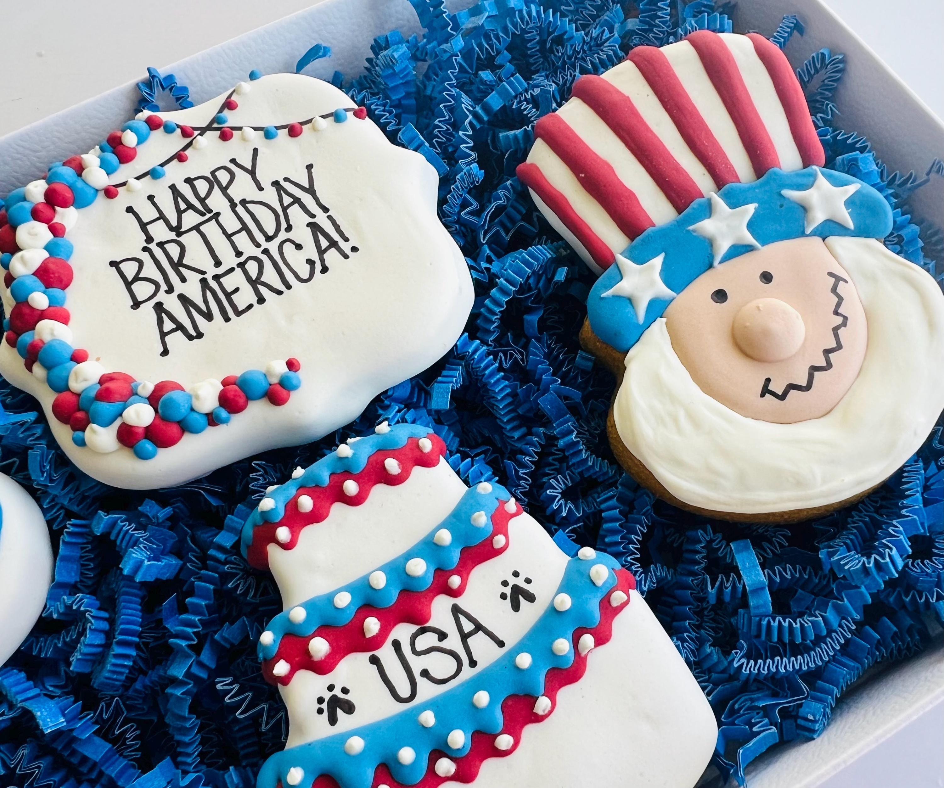 America Birthday Dog Treat Box | Patriotic Iced Dog Treats