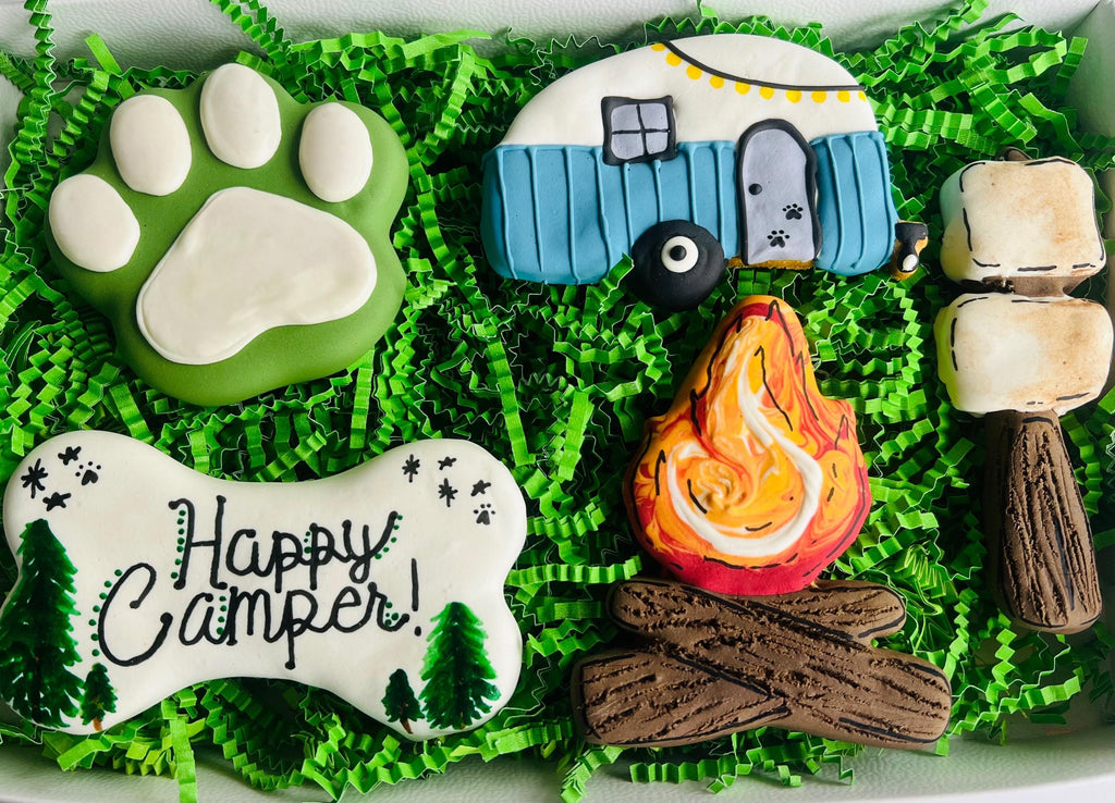 Happy Camper Dog Treat Box | Camping Iced Dog Treats