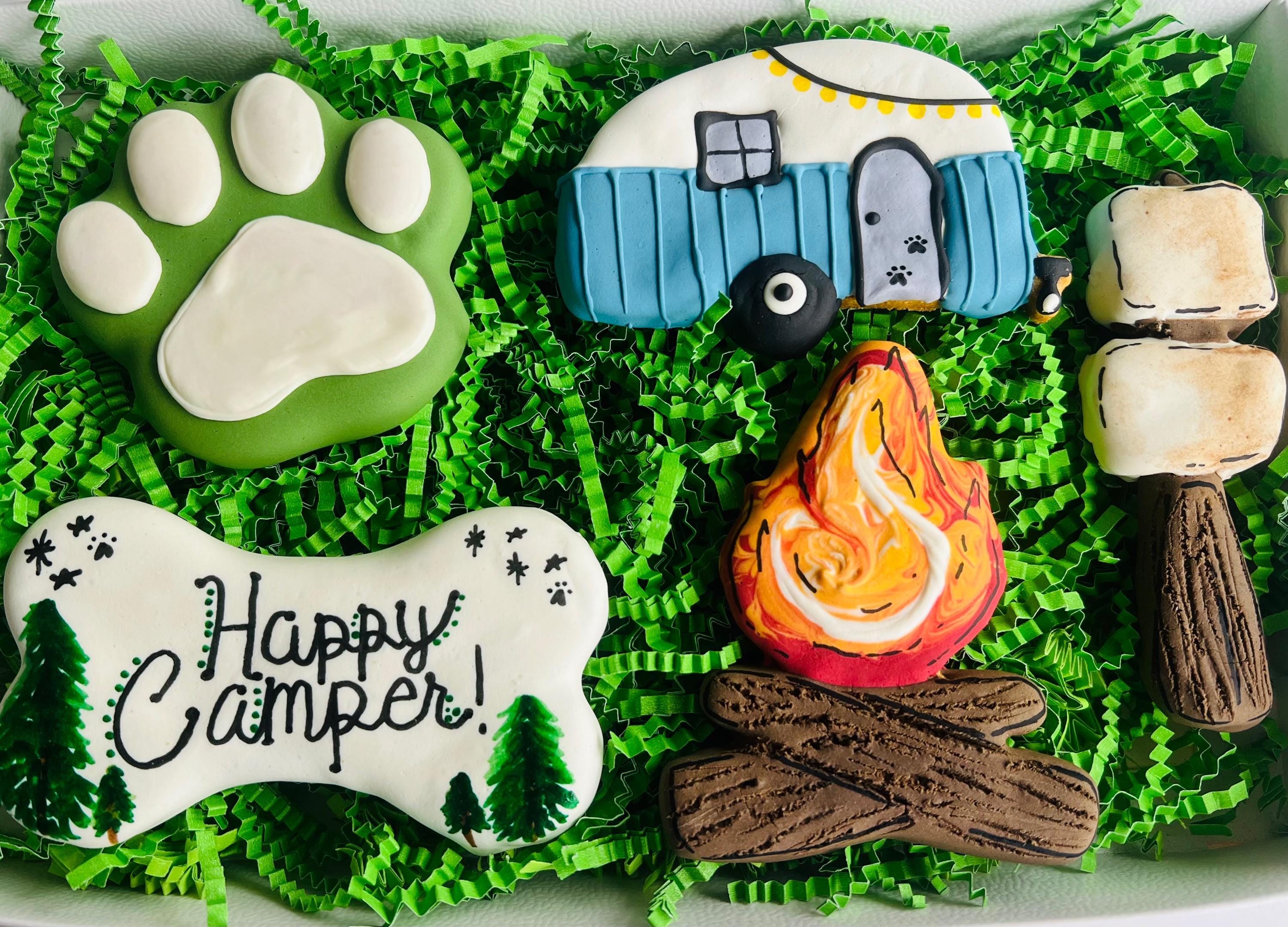 Happy Camper Dog Treat Box | Camping Iced Dog Treats