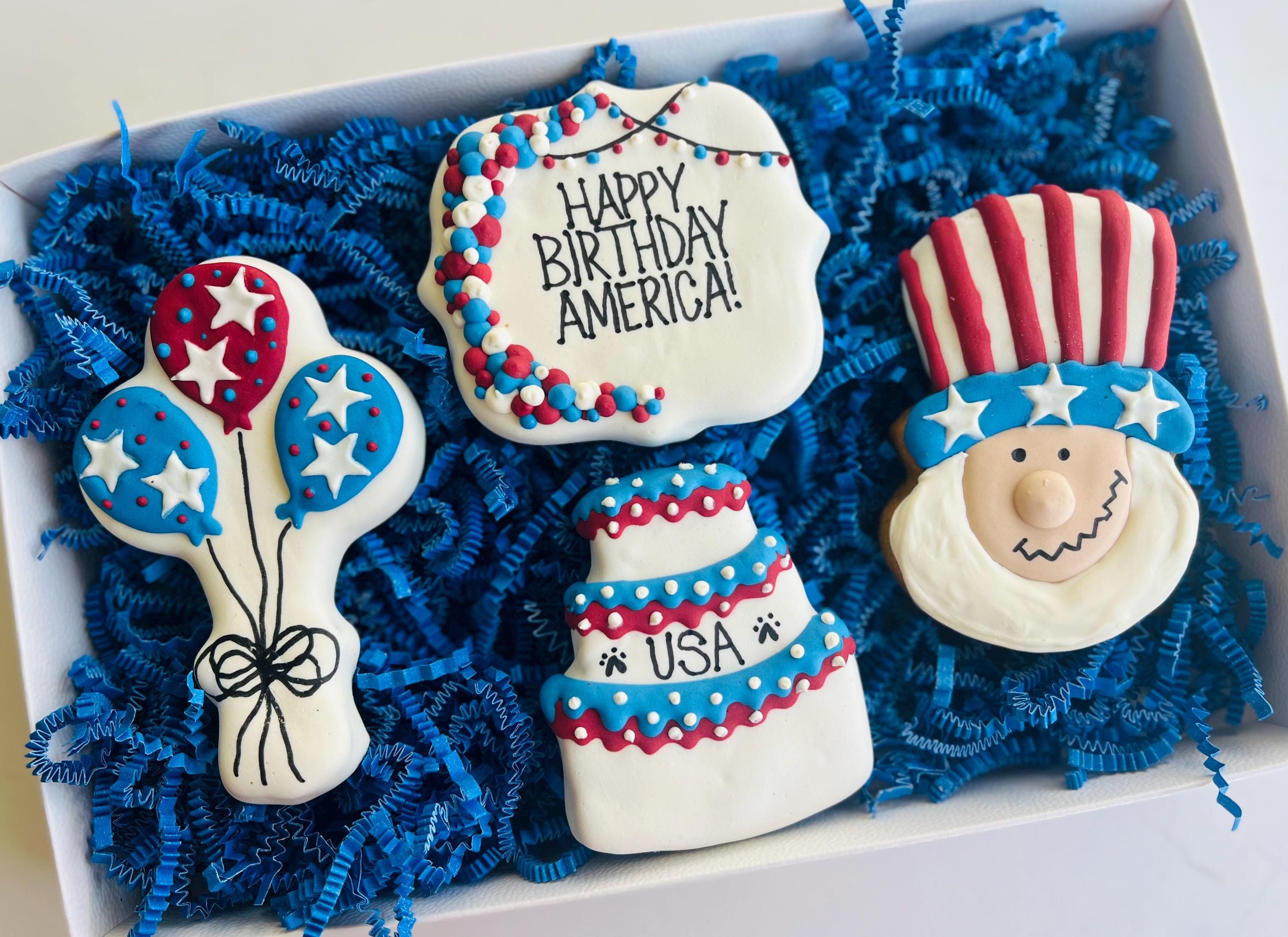 America Birthday Dog Treat Box | Patriotic Iced Dog Treats
