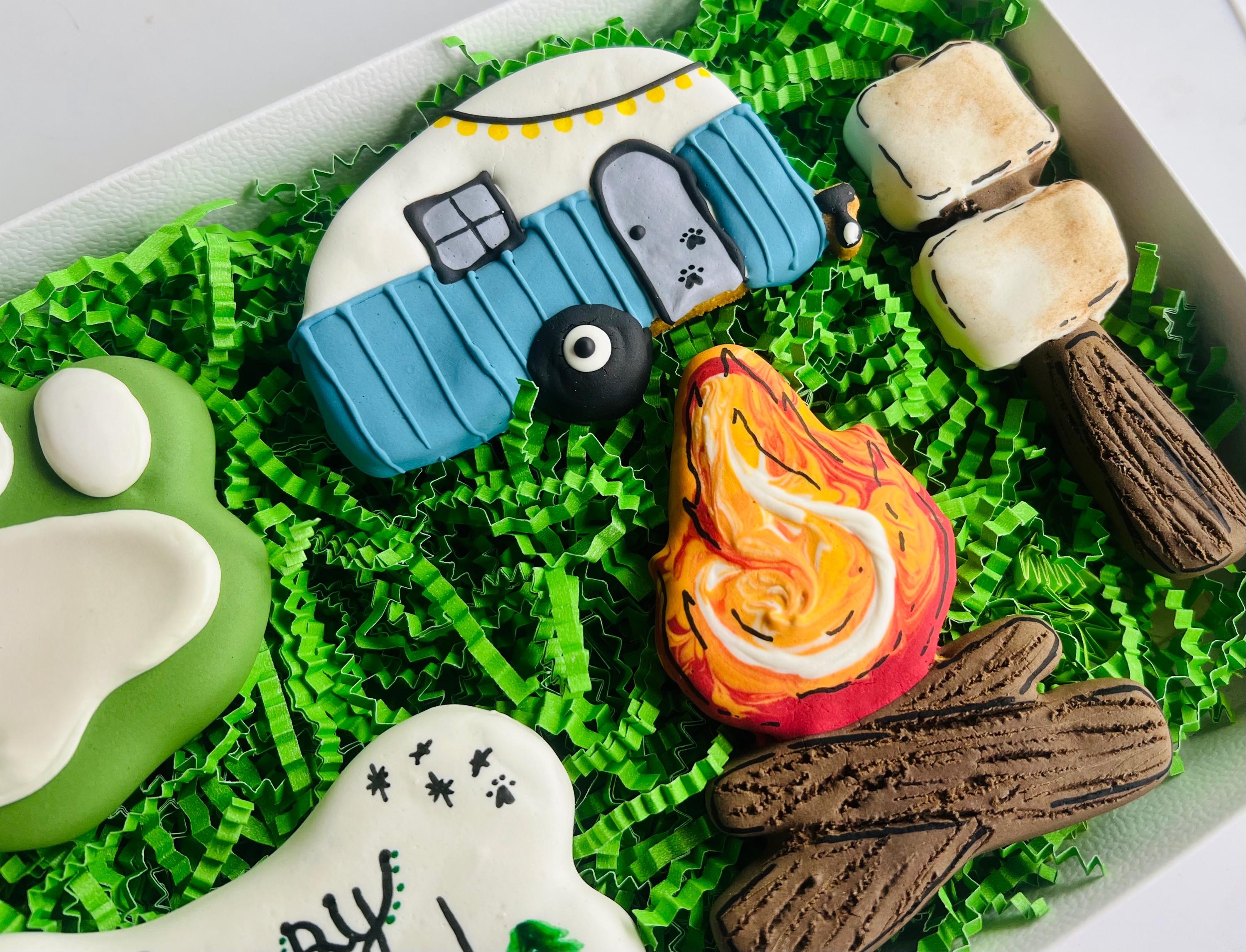 Happy Camper Dog Treat Box | Camping Iced Dog Treats
