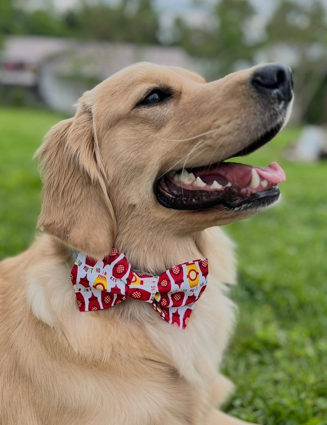 Ketchpup & Muttstard Bow tie