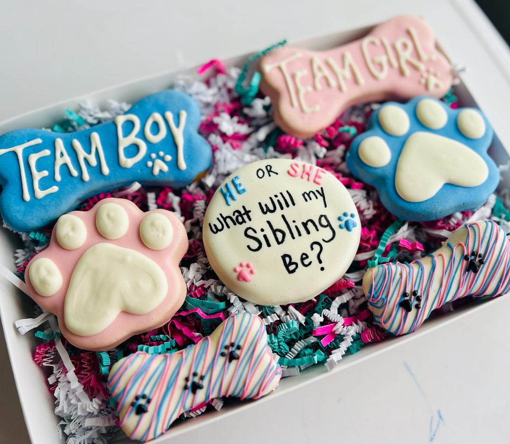 Gender Reveal Gourmet Dog Treats