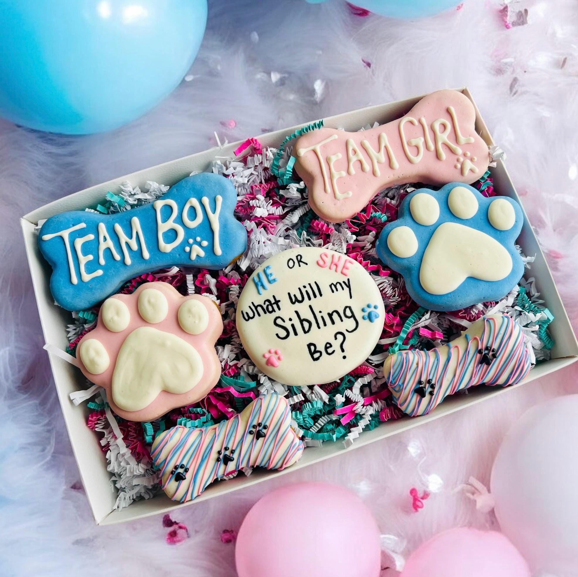 Gender Reveal Gourmet Dog Treats